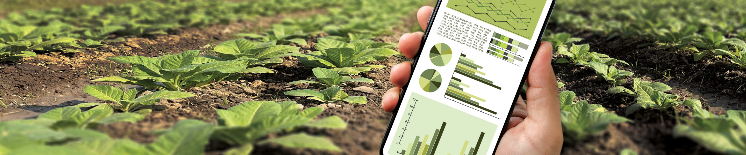 agriculture technology concept man Agronomist Using a Tablet Internet of things report